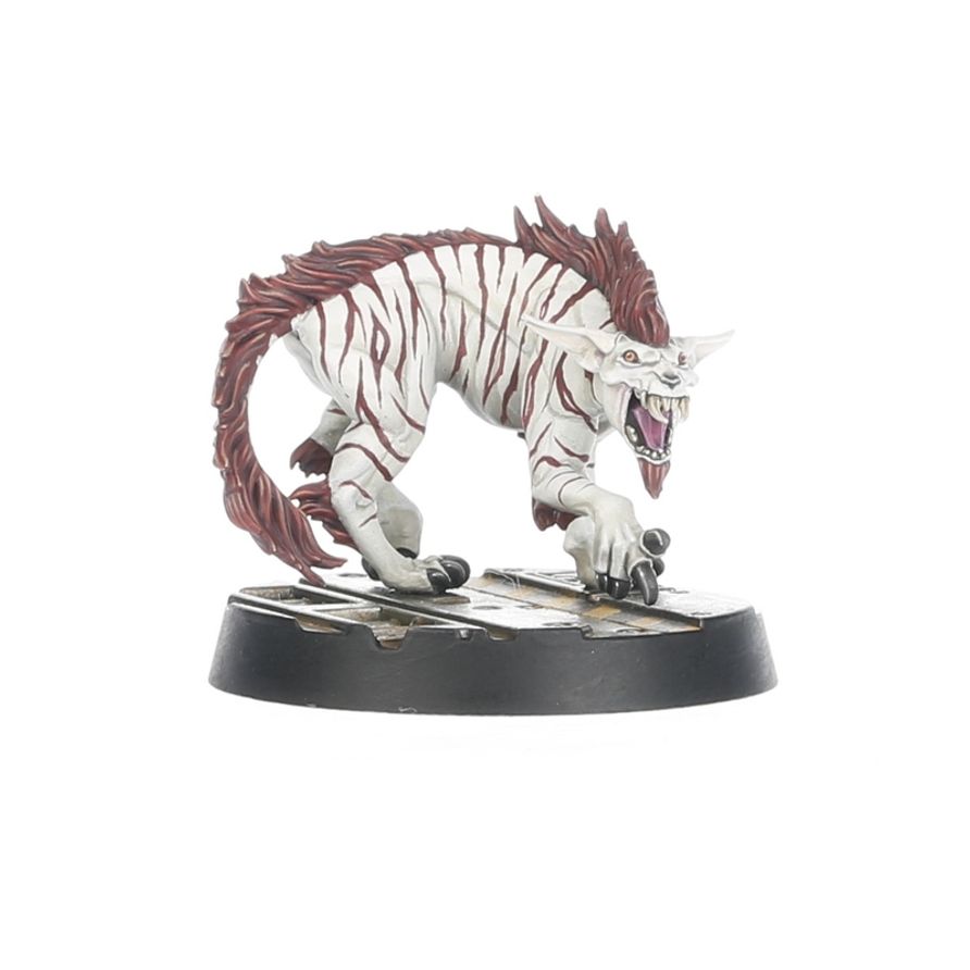 NECROMUNDA: ESCHER GANG MATRIARCHS & PHYRR CATS