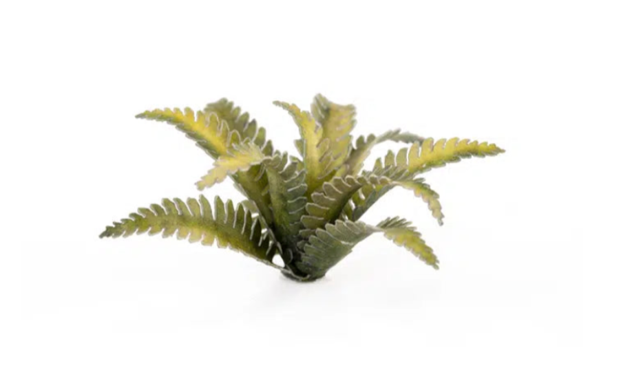 GGLP-DF Laser Plants - Deer Fern