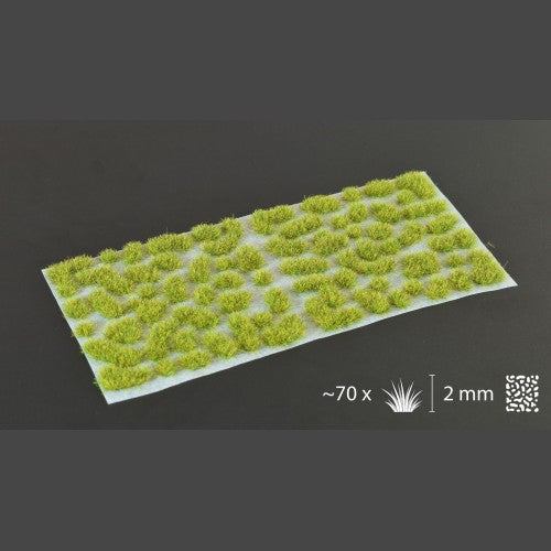 Gamers Grass: Moss 2mm Wild GG2-M