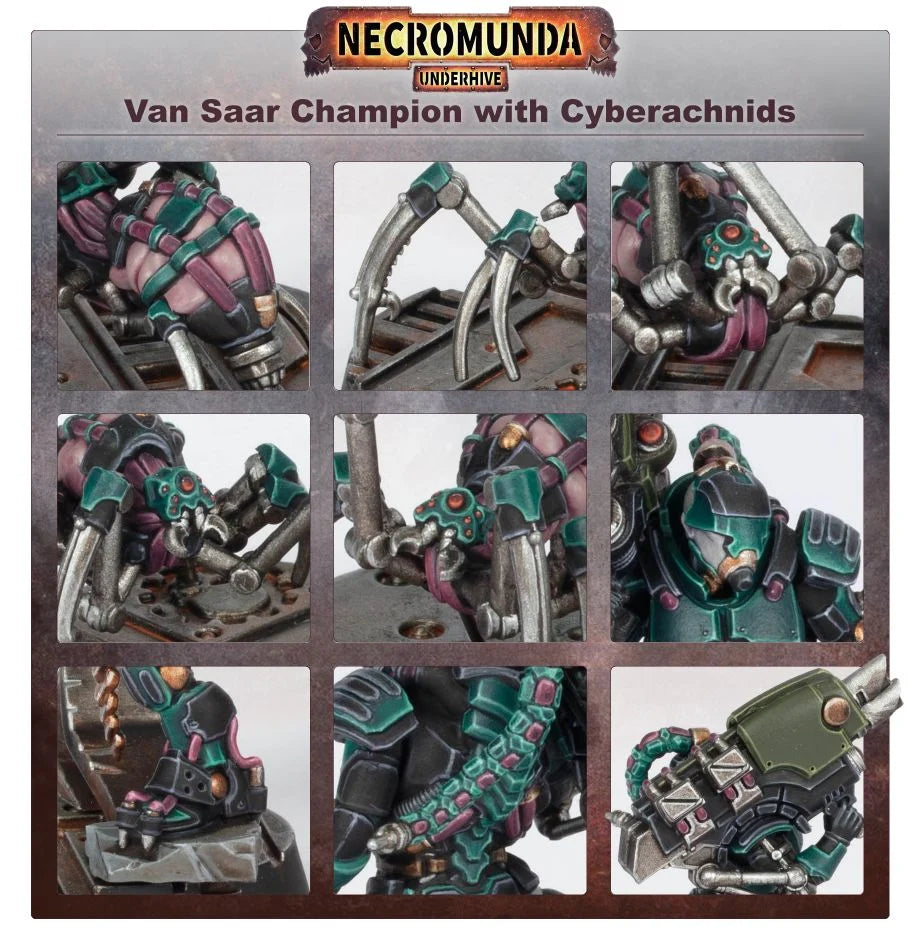Van Saar Champion in Carapace Armour with Cyberachnids
