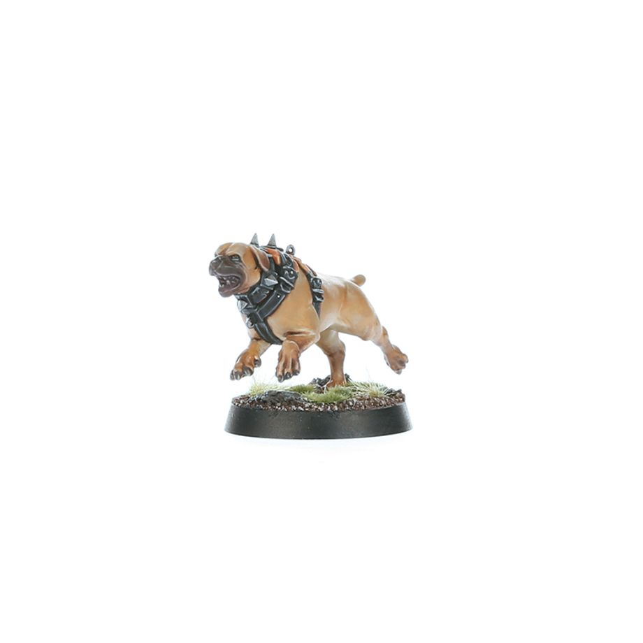 SPEARHEAD:CITIES OF SIGMAR FUSIL-PLATOON