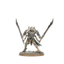 SPEARHEAD: O/BONEREAPERS MORTISAN ELITE