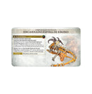 AGE OF SIGMAR: GENERAL'S HANDBOOK (ESPAÑOL)