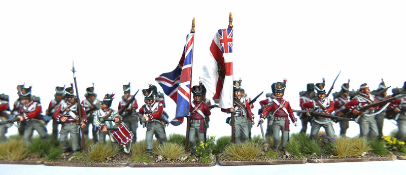 Waterloo British Infantry Center Companies