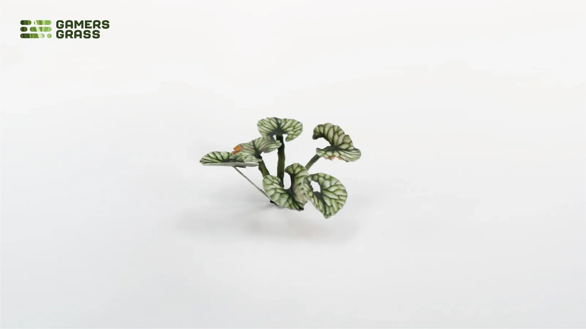 GGLP-BL Laser Plants - Bugloss