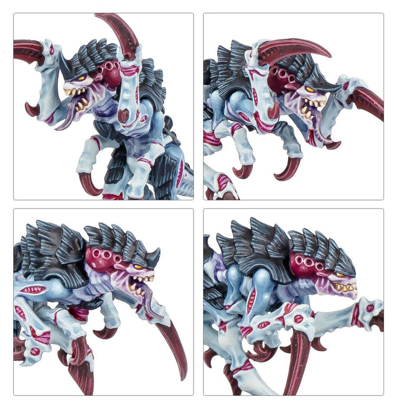 KILL TEAM: TYPHON (ESPAÑOL)