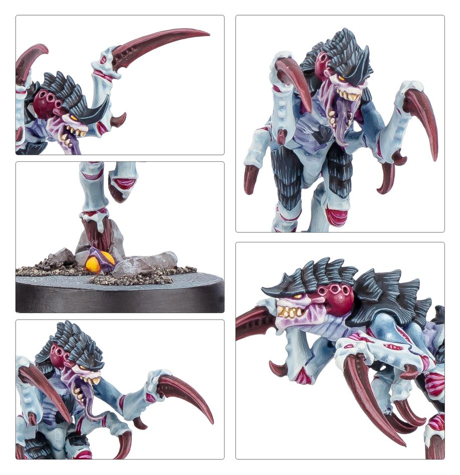 KILL TEAM: TYPHON (ESPAÑOL)