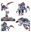 KILL TEAM: TYPHON (ENGLISH)