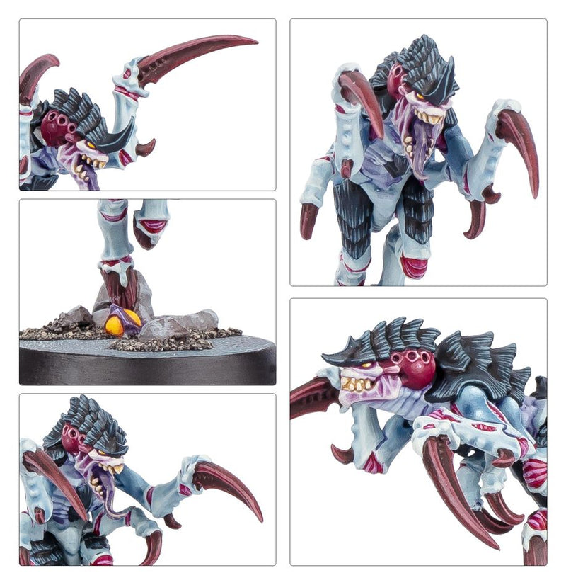 KILL TEAM: TYPHON (ESPAÑOL)