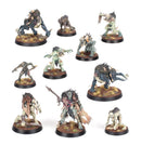 WARCRY: Royal Beastflayers