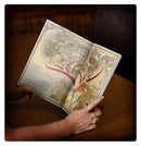 Arcane Journal: The Razing of Westerland (English)