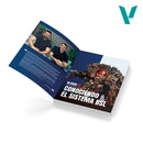 Book: Color BSL System