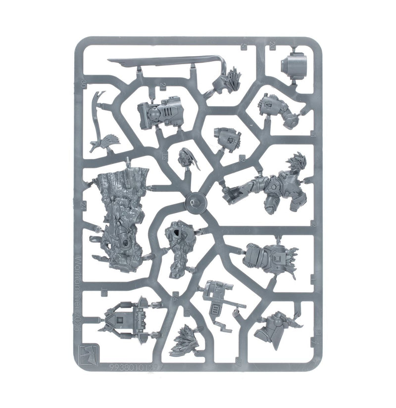 RAVEN GUARD: AETHON SHAAN