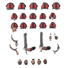 CSM : RED CORSAIRS UPGRADES & TRANSFERS
