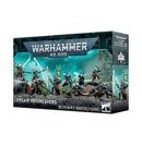 AELDARI : CORSAIR VOIDREAVERS