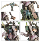 SPEARHEAD: MAGGOTKIN/NURGLE : BUBONIC CELL
