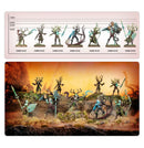 SYLVANETH: THE TWISTED BRANCH