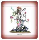 SYLVANETH: GROVE GUARDIAN