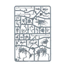 SPEARHEAD: S/G: DEATHRATTLE TOMB HOST