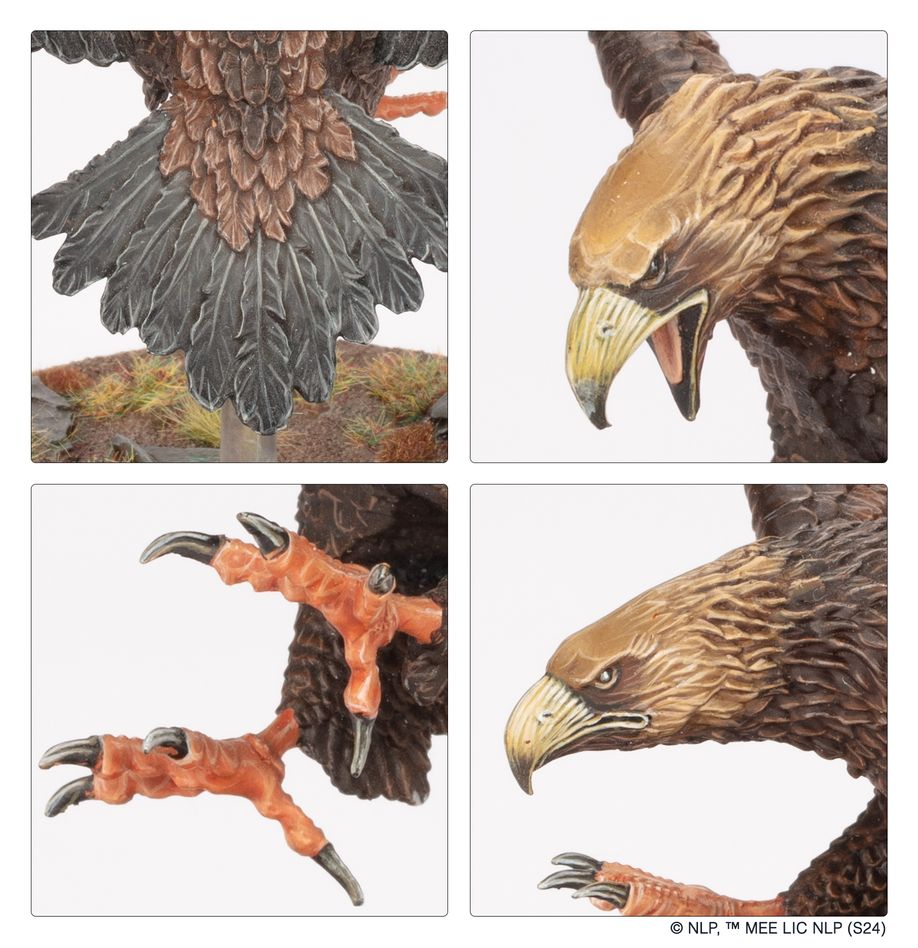 M-E SBG: GREAT EAGLES