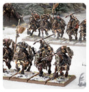WARRIORS OF CHAOS: CHAOS MARAUDER HORSEMEN