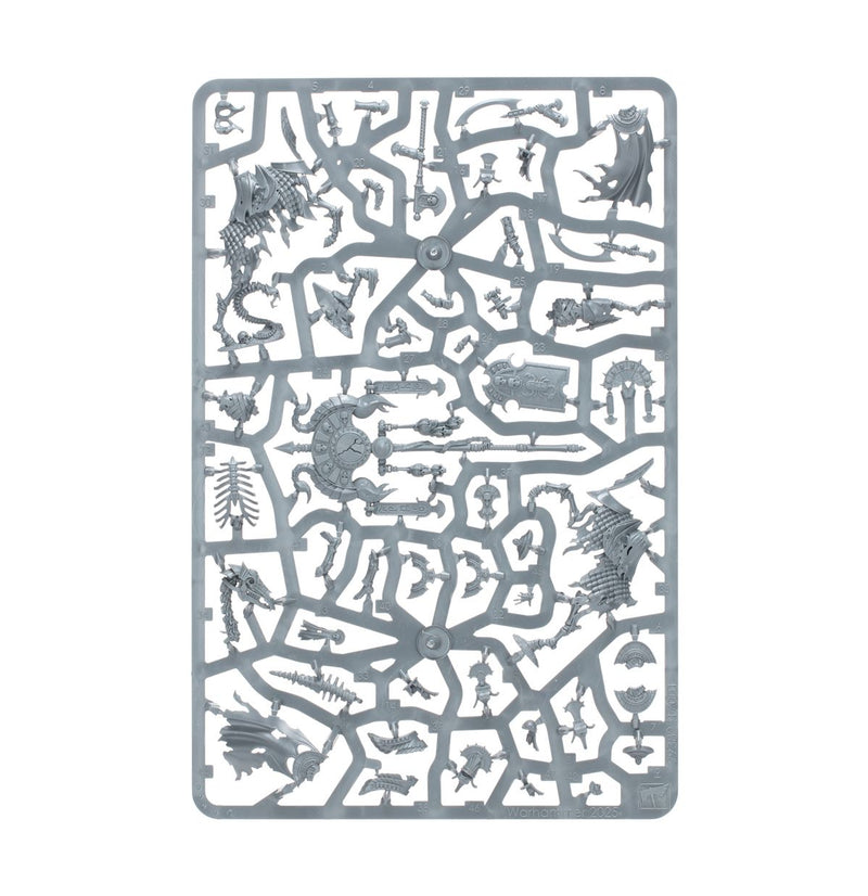 TOMB KINGS OF KHEMRI: ROYAL HERALDS