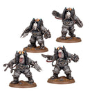 SOLAR AUXILIA : CHARONITE OGRYN SECTION