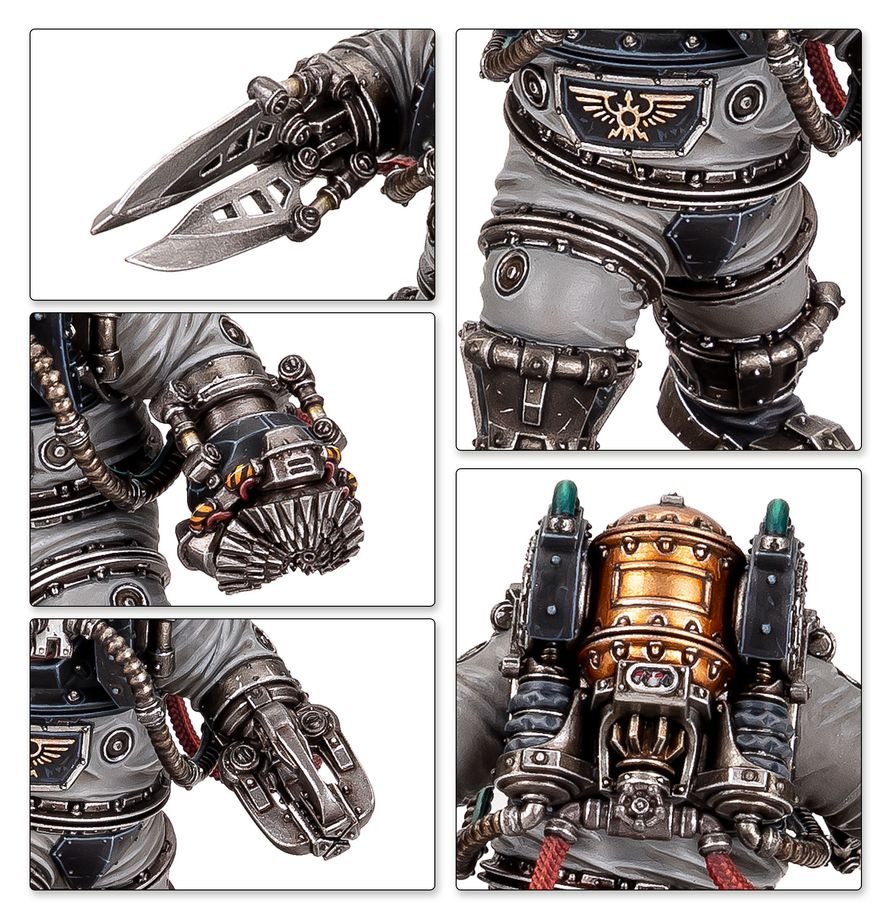 SOLAR AUXILIA : CHARONITE OGRYN SECTION