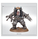 SOLAR AUXILIA : CHARONITE OGRYN SECTION