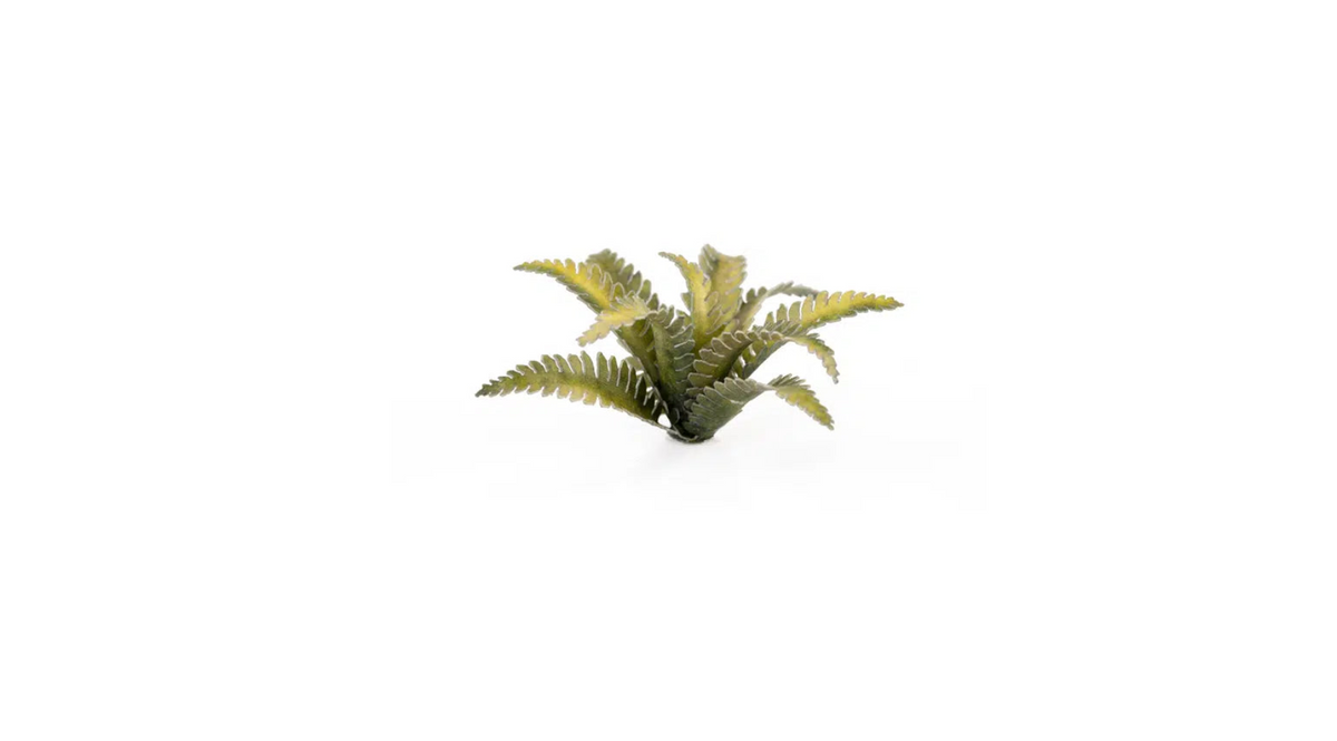 GGLP-DF Laser Plants - Deer Fern