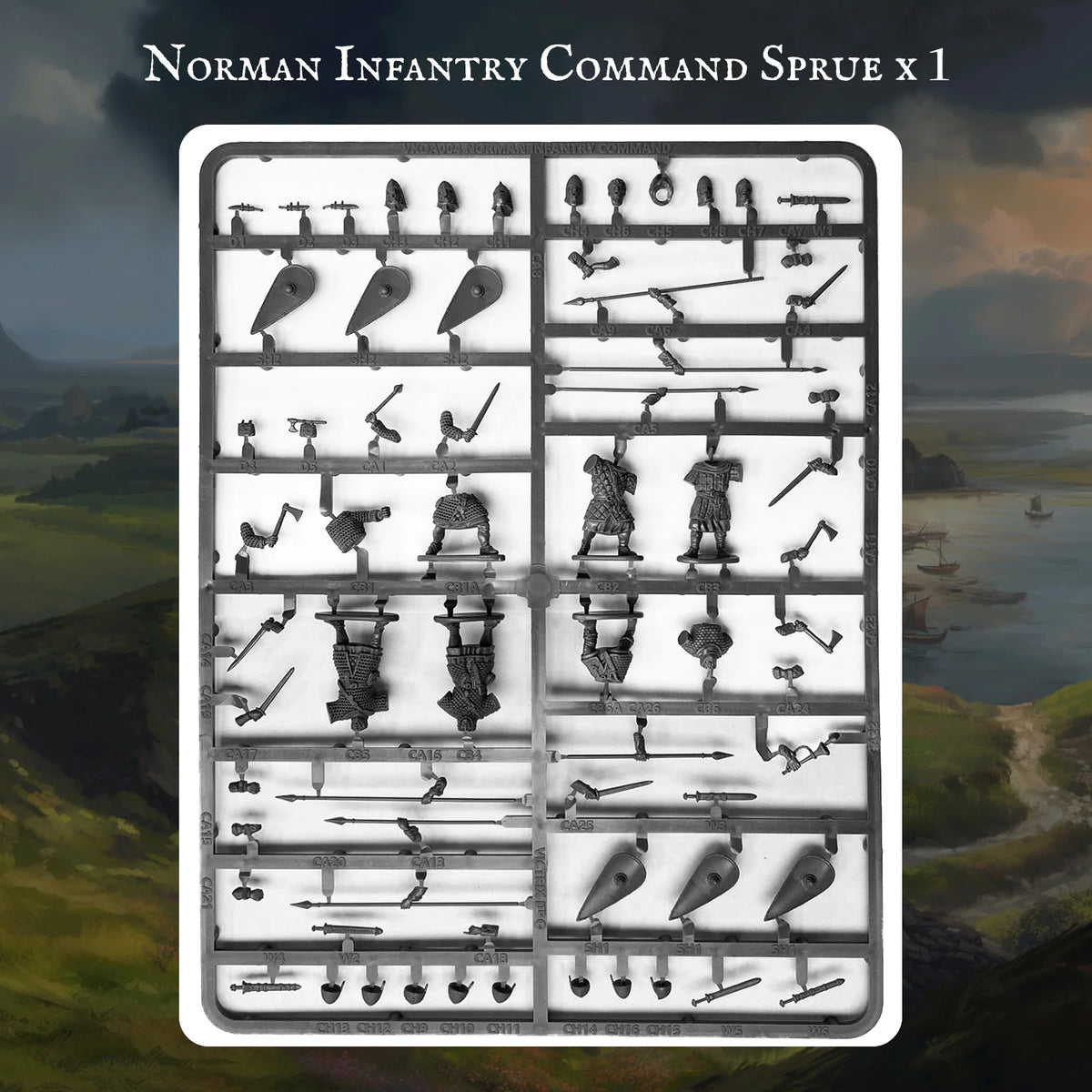VXP003 Norman Warband
