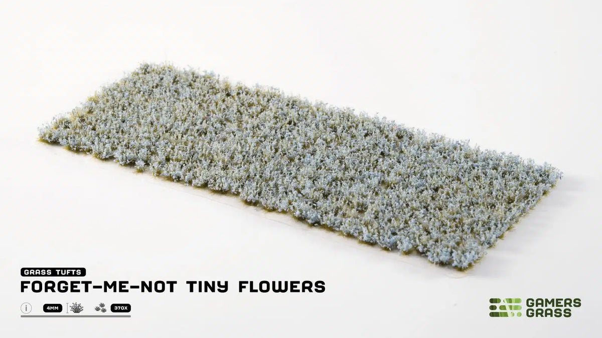 GGFS-FMN Forget-me-not Tiny Flowers