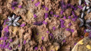 Gamers Grass: Alien Tiny Purple Set Tuft