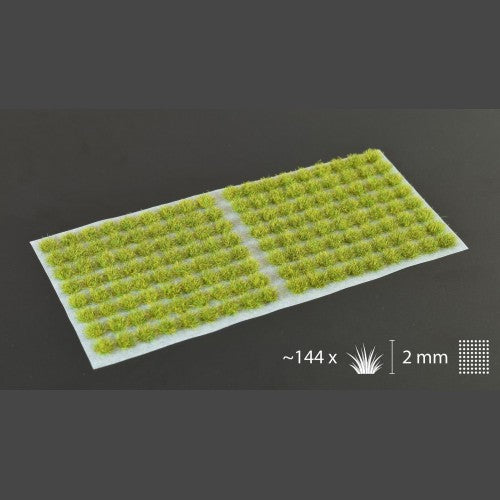 Gamers Grass: Moss 2mm Small GG2-Ms