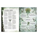 Battletome: Sylvaneth