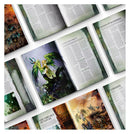 Battletome: Sylvaneth (ENG)