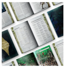 Broken Realms: Teclis  (HB)