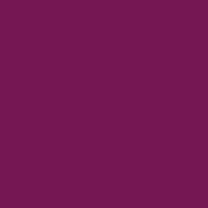 027 72.014 PURPLE