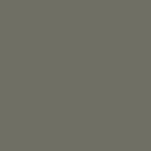 078 72.050 GRIS NEUTRAL