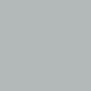 121 72.052 PLATA