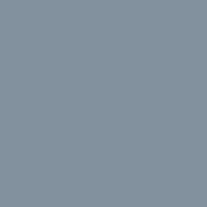 074 72.102 GRIS ACERO