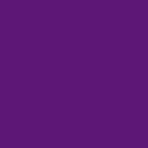 105 72.159 VIOLETA FLUORESCENTE