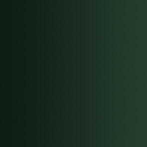 72.418 VERDE LAGARTO
