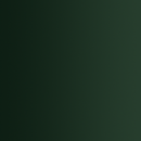 72.418 VERDE LAGARTO