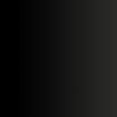 72.423 MAGNOLIA NEGRA