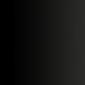 72.423 MAGNOLIA NEGRA