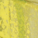 100 72.611 MUSGO Y LIQUEN