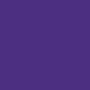 084 73.209 LAVADO VIOLETA