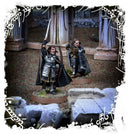 Cirion and Beregond