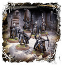 Citadel Guard